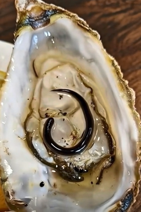 𝐇𝐄𝐀𝐋𝐓𝐇 𝐀𝐋𝐄𝐑𝐓 𝐅𝐑𝐎𝐌 𝐃𝐎𝐂𝐓𝐎𝐑𝐒: 𝐓𝐇𝐄𝐒𝐄 4 𝐅𝐎𝐎𝐃𝐒 𝐀𝐑𝐄 𝐅𝐔𝐋𝐋 𝐎𝐅 𝐏𝐀𝐑𝐀𝐒𝐈𝐓𝐄𝐒 — 𝐐𝐔𝐈𝐓 𝐄𝐀𝐓𝐈𝐍𝐆 𝐓𝐇𝐄𝐌 𝐈𝐌𝐌𝐄𝐃𝐈𝐀𝐓𝐄𝐋𝐘