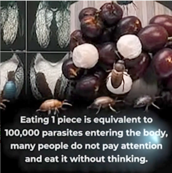  Eating Just ONE Bite Is Already Harmful — Yet Millions Still Eat It Every Day Without Worry