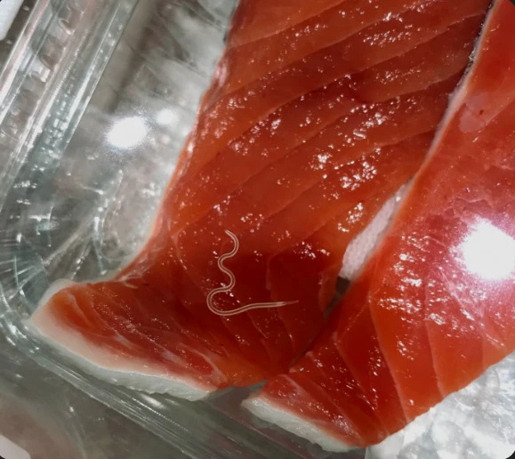 OH MY GOD: Health Warning from Doctor: These Fish Foods Are Full of Parasites — Stop Eating Them Immediately