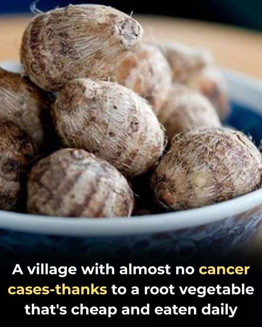 A village with strikingly low cancer rates—and their secret isn’t expensive supplements, but a humble root vegetable eaten daily