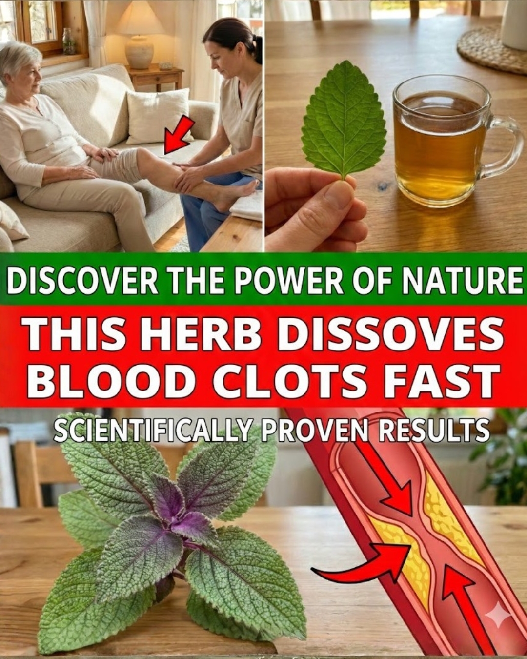 The best herbs to dissolve deadly blood clots in the legs 👇👇sn