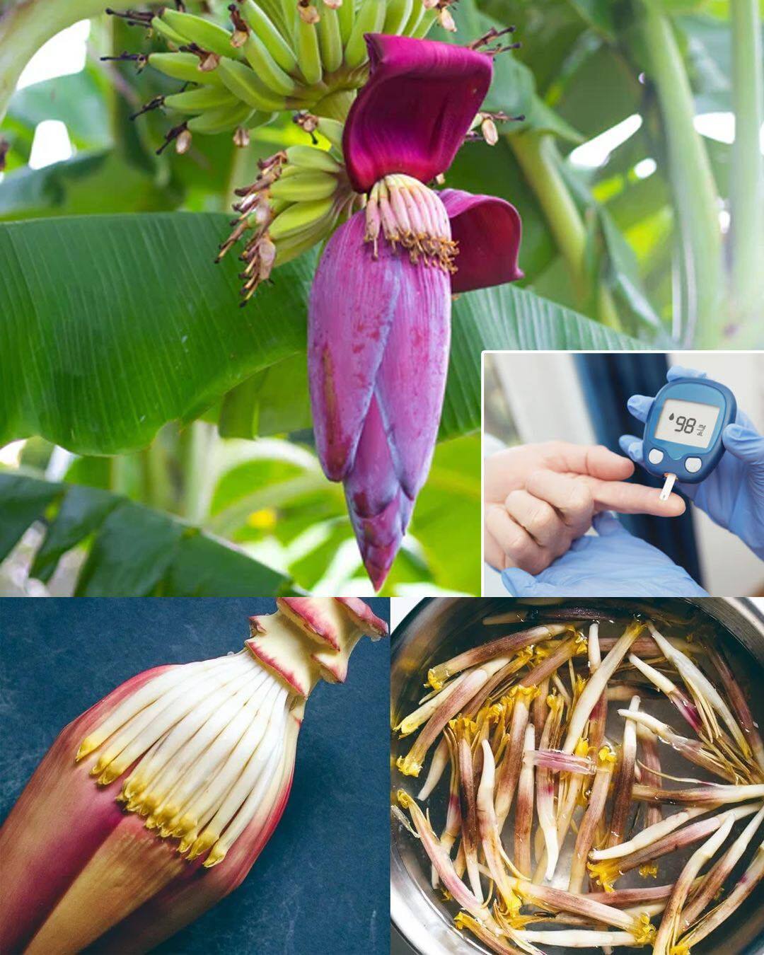 Say goodbye to diabetes, high blood pressure, and stomach pain with just one natural remedy you never expected.... 💬👀