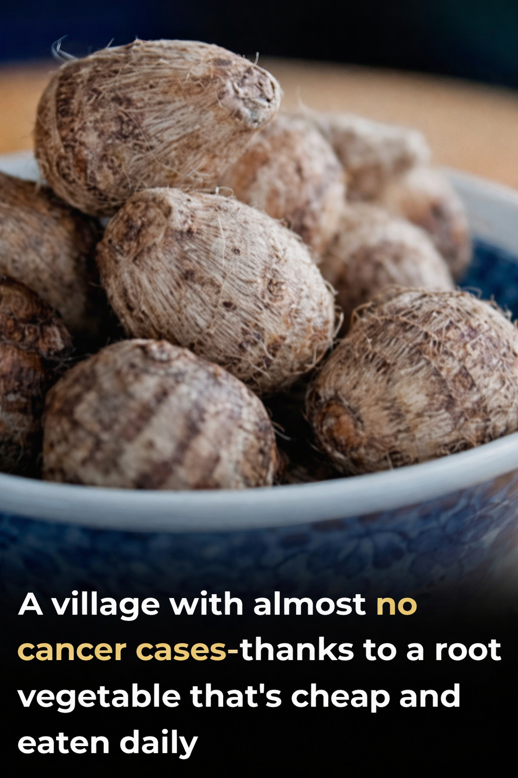 A village with an incredibly low cancer rate - and their secret isn't lotus seed supplements, but a humble spring vegetable eaten daily... see more in the comments 👇snn